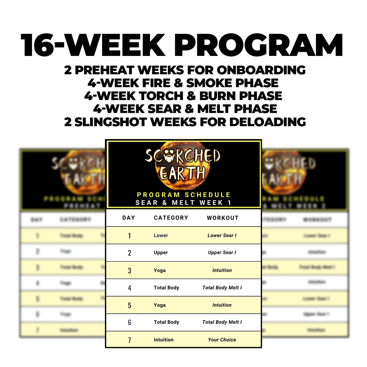 Scorched Earth Program