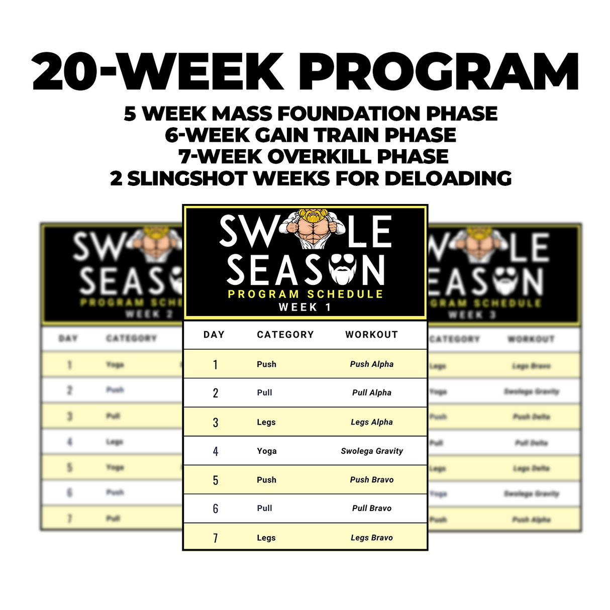 Swole Season Program