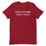 Make Asylums Great Again T-Shirt