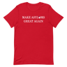 Make Asylums Great Again T-Shirt