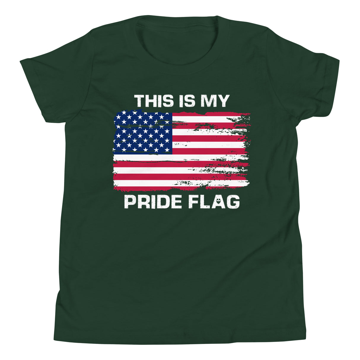 This Is My Pride Flag Kids T-Shirt