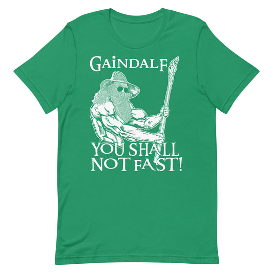 Gaindalf T-Shirt
